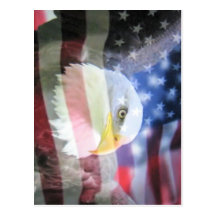 Bald american eagle & U.S.A. flag. Postcard