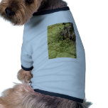 Bald cypress knees in duckweed pet tee shirt