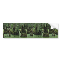Bald cypress knees rising from swamp water bumper stickers