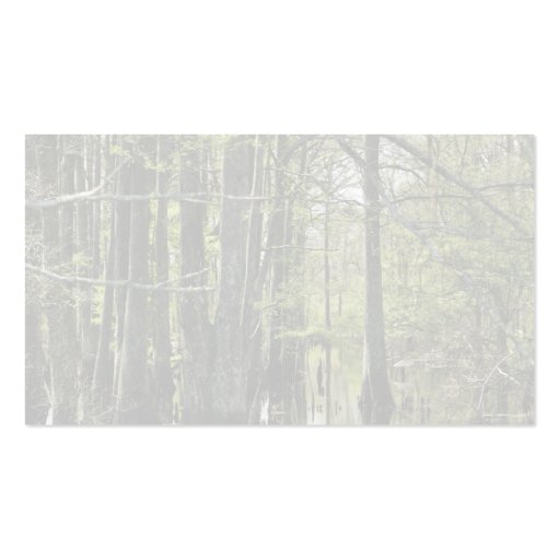 Bald cypress trees in swamp business card (back side)