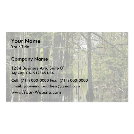 Bald cypress trees in swamp business card (front side)