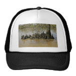 Bald cypress trunk and knees trucker hats