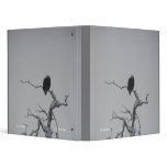 Bald Eagle #1, Bald Eagle #1, (C) Jack Taylor, ... binders