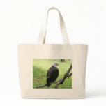 Bald Eagle 2 Tote Bags