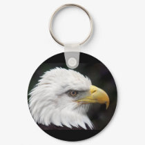 Bald Eagle #2 keychains by ForestPhoto Bald Eagle #2 keychains