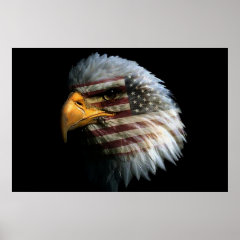 Bald Eagle 4th Of July poster 6