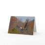 Bald Eagle 6 Greeting Card