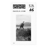 Bald Eagle Alaska 1920 Stamp