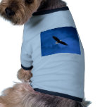 Bald-Eagle-Alaska pet clothing