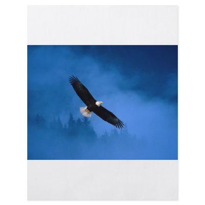 Bald-Eagle-Alaska Flyers by marylouroche