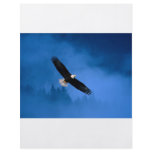 Bald-Eagle-Alaska flyers
