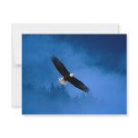 Bald-Eagle-Alaska Personalized Announcements