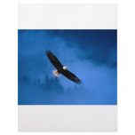 Bald-Eagle-Alaska Custom Letterhead
