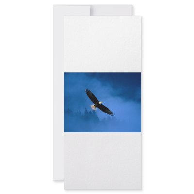 Bald-Eagle-Alaska Rack Cards by marylouroche