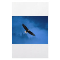 Bald-Eagle-Alaska stationery by marylouroche Bald-Eagle-Alaska stationery