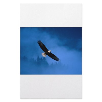 Bald-Eagle-Alaska Personalized Stationery by marylouroche