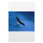 Bald-Eagle-Alaska Personalized Stationery