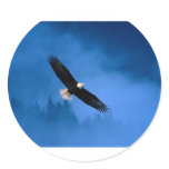 Bald-Eagle-Alaska Round Stickers