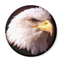 Bald Eagle American Eagle Fridge Magnets