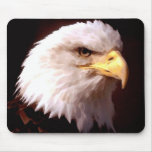 Bald Eagle American Eagle Mousepads