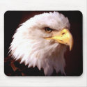Bald Eagle American Eagle mousepads