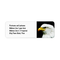 Bald Eagle - American Eagle Photograph Custom Return Address Labels