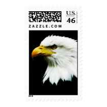 Bald Eagle - American Eagle Photograph Postage Stamp