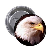 Bald Eagle American Eagle Pin