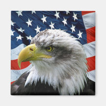 Bald-Eagle-American-Flag Magnets