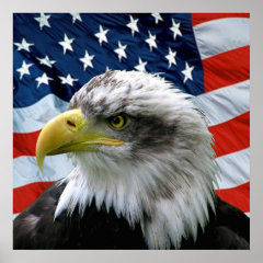 Bald Eagle American Flag Print