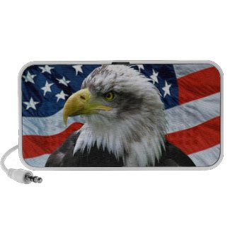 Bald Eagle American Flag doodle