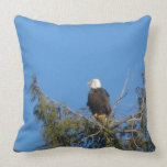 Bald Eagle American MoJo Pillow Bald Eagle American MoJo Pillow