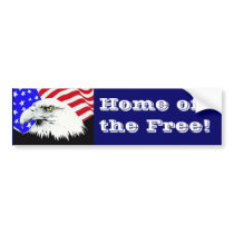 Bald Eagle and American Flag Bumper Stickers