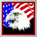 Bald Eagle and American Flag Poster print