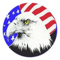 Bald Eagle and American Flag Round Sticker