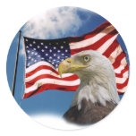 bald eagle and flag sticker