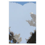 Bald Eagle and Magpie Staredown Personalized Stationery