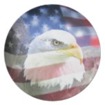 bald eagle and U.S.A. flag Plates