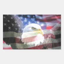 bald eagle and U.S.A. flag Rectangle Stickers