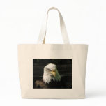 Bald Eagle Bald Eagle