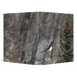 Bald Eagle Binder