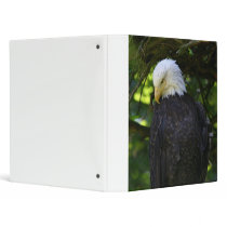 Bald Eagle Binders
