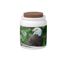 Bald Eagle Bird Cookie Jar Candy Jar