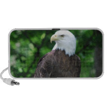 Bald Eagle Bird Portable Speakers
