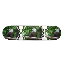 Bald Eagle Bird Skateboard