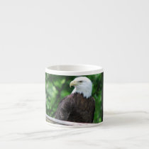 Bald Eagle Bird Specialty Mug