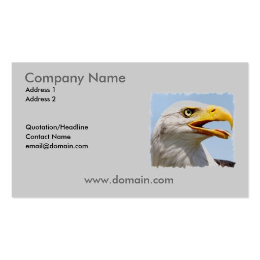 Bald Eagle Business Card (front side)