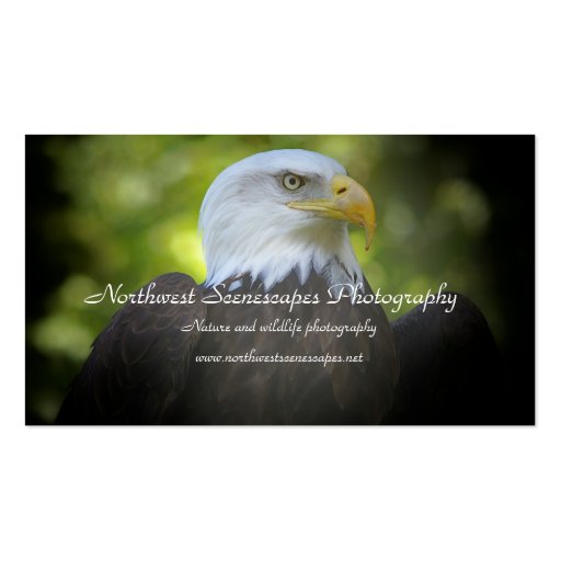 Bald Eagle business card