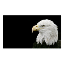 Bald Eagle business card