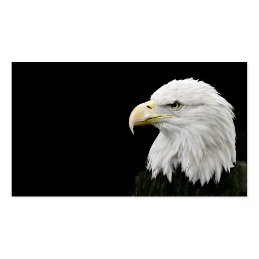 Bald Eagle business card (front side)